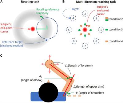 Design of an Isometric End-Point Force Control Task for Electromyography Normalization and Muscle Synergy Extraction From the Upper Limb Without Maximum Voluntary Contraction